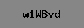 Captcha Verification