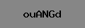 Captcha Verification
